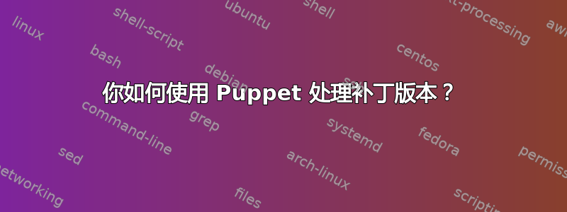 你如何使用 Puppet 处理补丁版本？