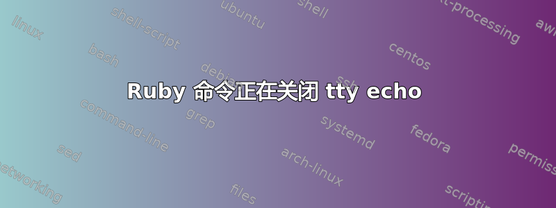 Ruby 命令正在关闭 tty echo