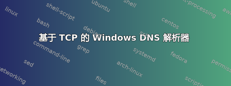 基于 TCP 的 Windows DNS 解析器