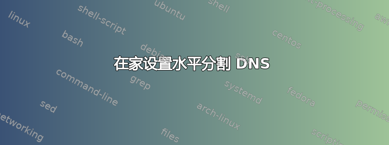 在家设置水平分割 DNS