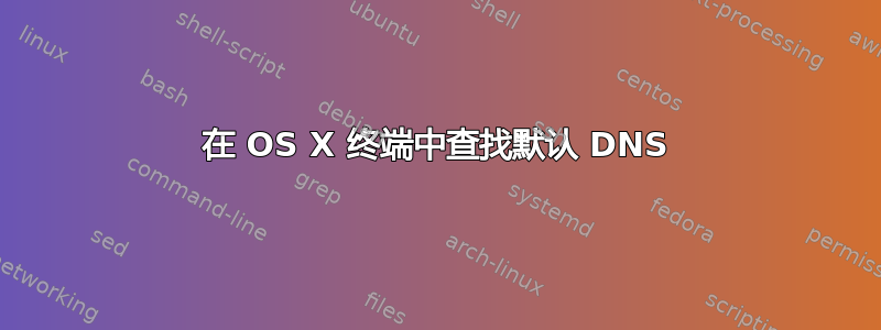 在 OS X 终端中查找默认 DNS