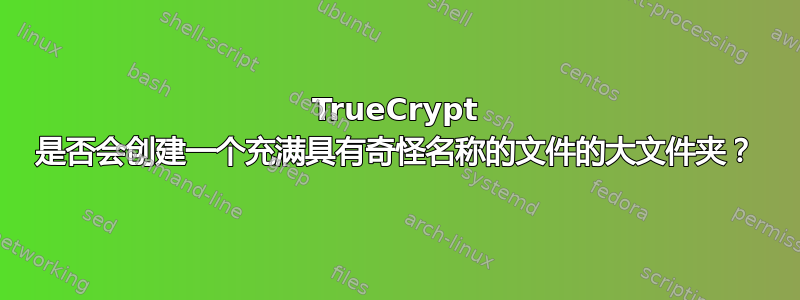 TrueCrypt 是否会创建一个充满具有奇怪名称的文件的大文件夹？