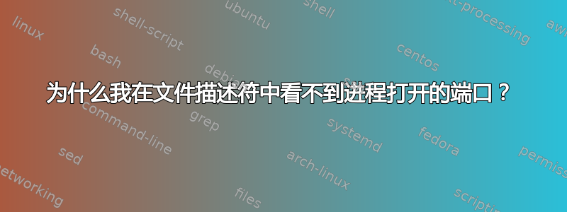 为什么我在文件描述符中看不到进程打开的端口？