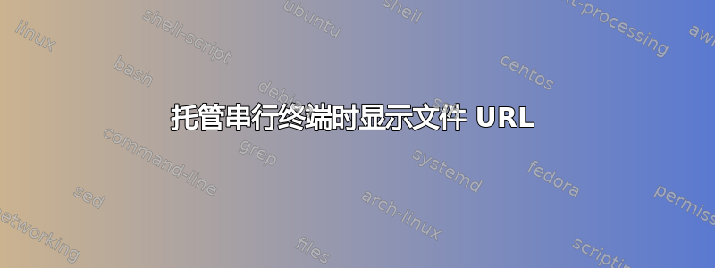 托管串行终端时显示文件 URL