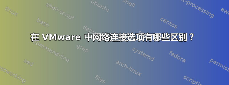 在 VMware 中网络连接选项有哪些区别？