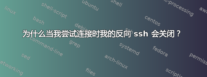 为什么当我尝试连接时我的反向 ssh 会关闭？