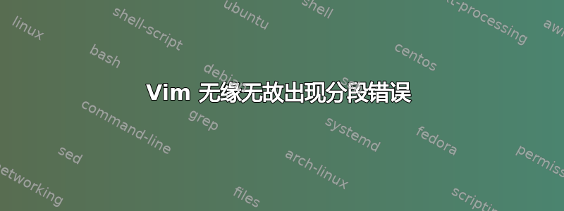 Vim 无缘无故出现分段错误