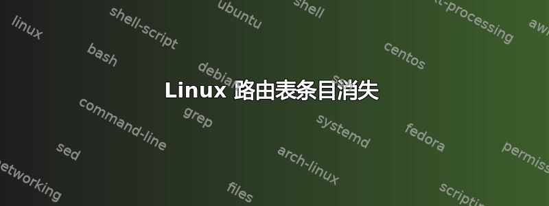 Linux 路由表条目消失