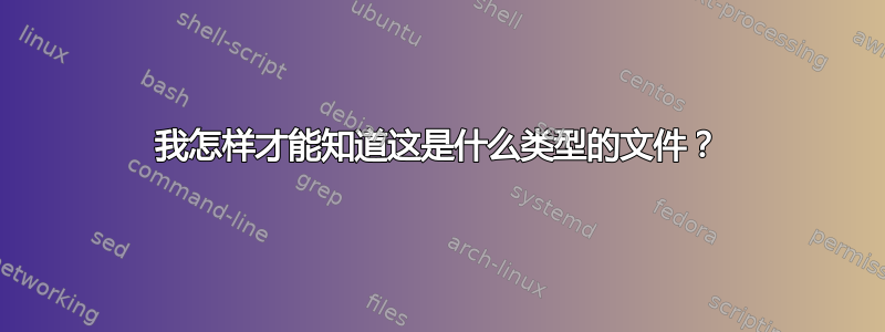 我怎样才能知道这是什么类型的文件？