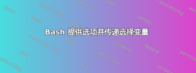 Bash 提供选项并传递选择变量