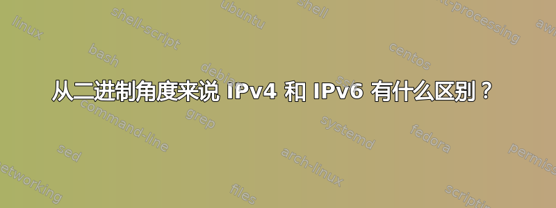 从二进制角度来说 IPv4 和 IPv6 有什么区别？