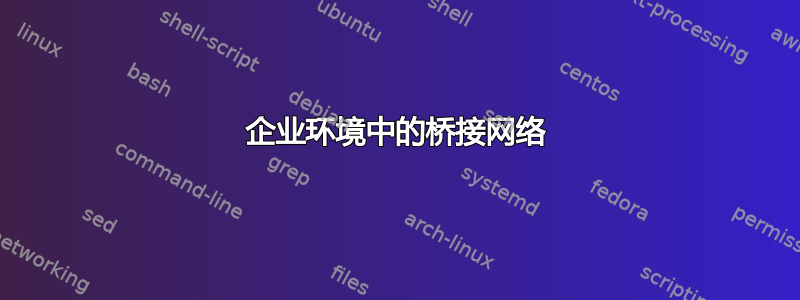 企业环境中的桥接网络