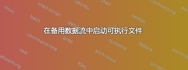 在备用数据流中启动可执行文件