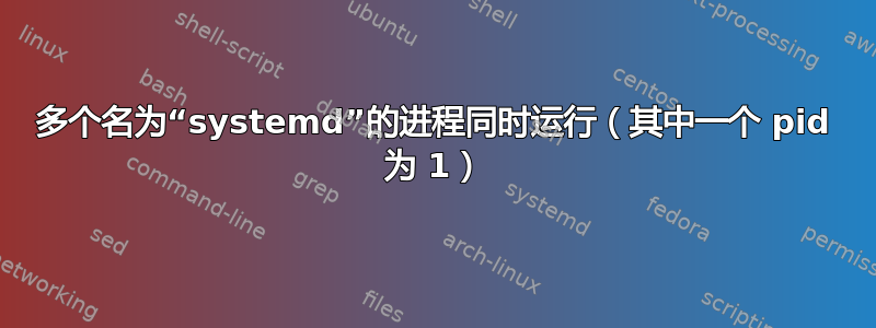 多个名为“systemd”的进程同时运行（其中一个 pid 为 1）