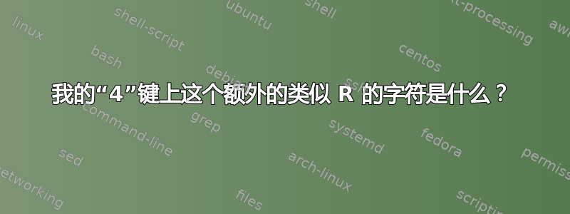 我的“4”键上这个额外的类似 R 的字符是什么？