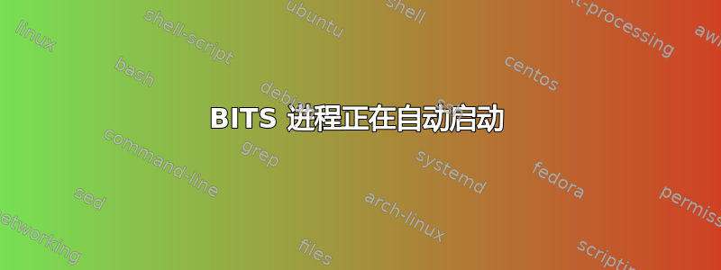 BITS 进程正在自动启动