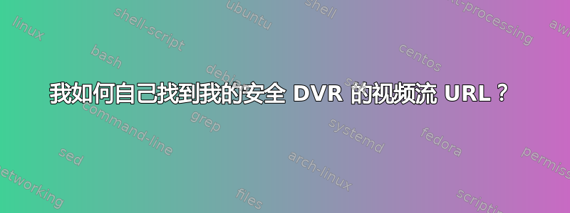 我如何自己找到我的安全 DVR 的视频流 URL？