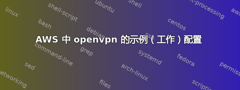 AWS 中 openvpn 的示例（工作）配置