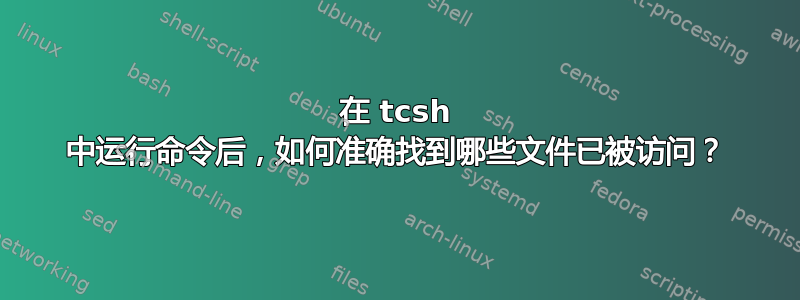 在 tcsh 中运行命令后，如何准确找到哪些文件已被访问？