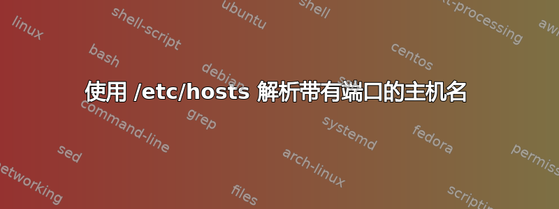 使用 /etc/hosts 解析带有端口的主机名