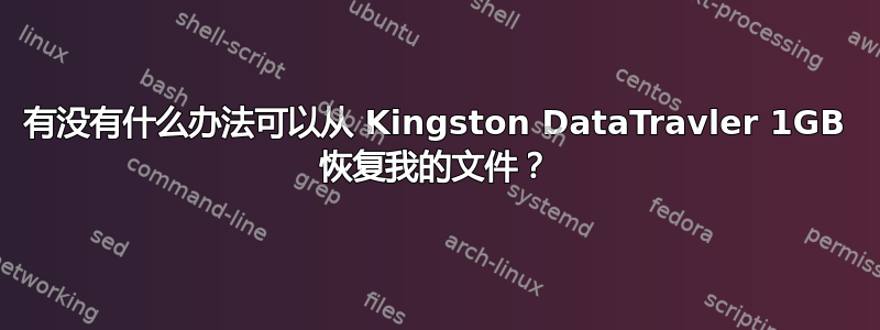 有没有什么办法可以从 Kingston DataTravler 1GB 恢复我的文件？