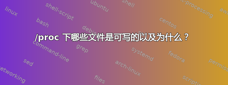 /proc 下哪些文件是可写的以及为什么？