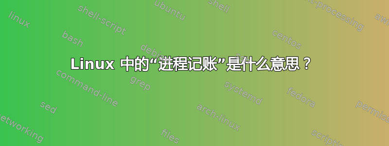 Linux 中的“进程记账”是什么意思？