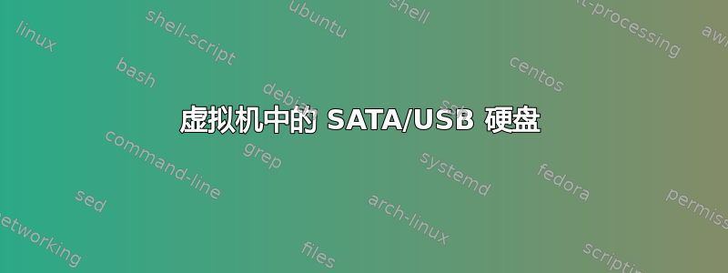 虚拟机中的 SATA/USB 硬盘