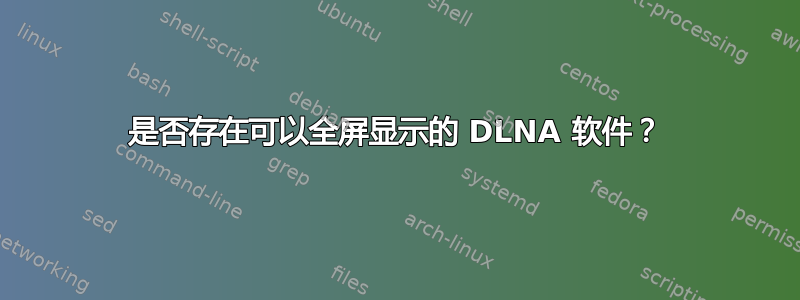 是否存在可以全屏显示的 DLNA 软件？