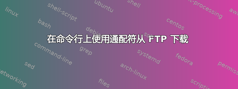 在命令行上使用通配符从 FTP 下载