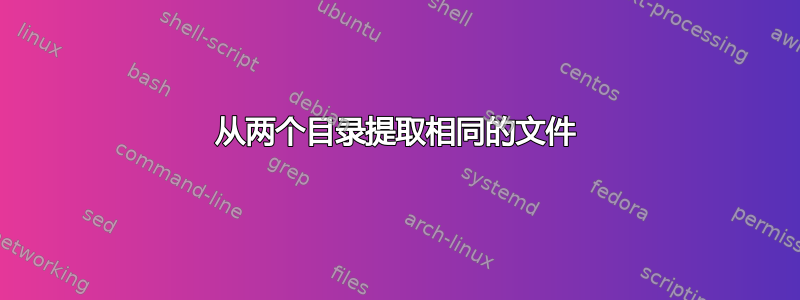 从两个目录提取相同的文件