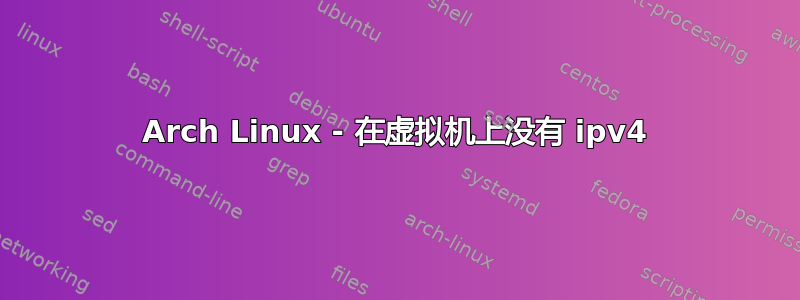 Arch Linux - 在虚拟机上没有 ipv4