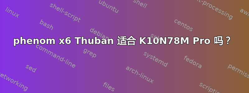 phenom x6 Thuban 适合 K10N78M Pro 吗？