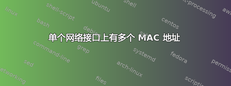 单个网络接口上有多个 MAC 地址