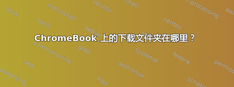 ChromeBook 上的下载文件夹在哪里？