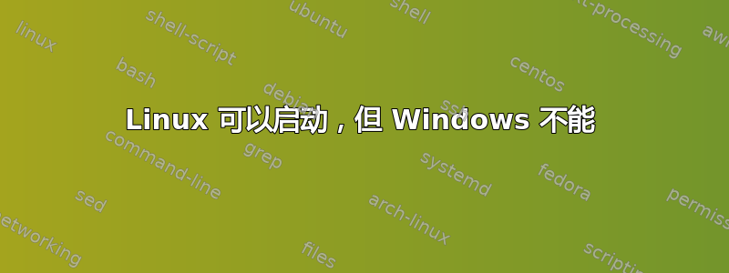 Linux 可以启动，但 Windows 不能