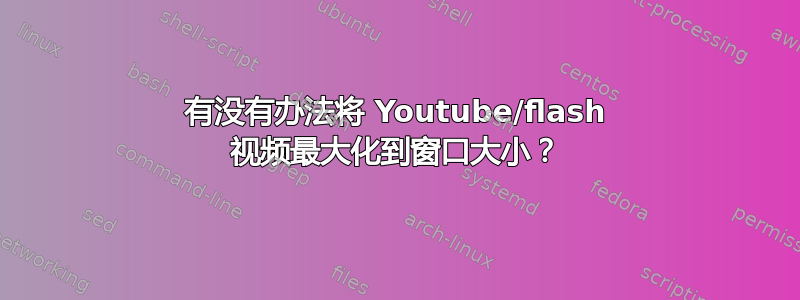 有没有办法将 Youtube/flash 视频最大化到窗口大小？