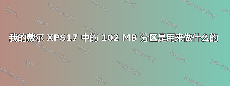 我的戴尔 XPS17 中的 102 MB 分区是用来做什么的