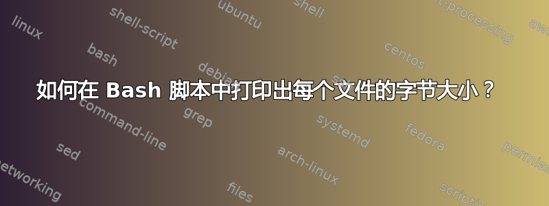 如何在 Bash 脚本中打印出每个文件的字节大小？ 