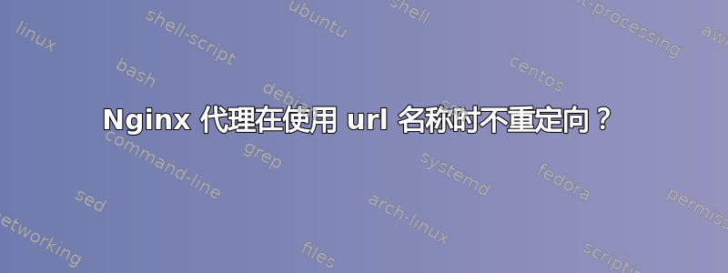 Nginx 代理在使用 url 名称时不重定向？