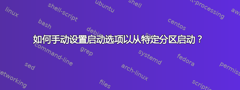 如何手动设置启动选项以从特定分区启动？