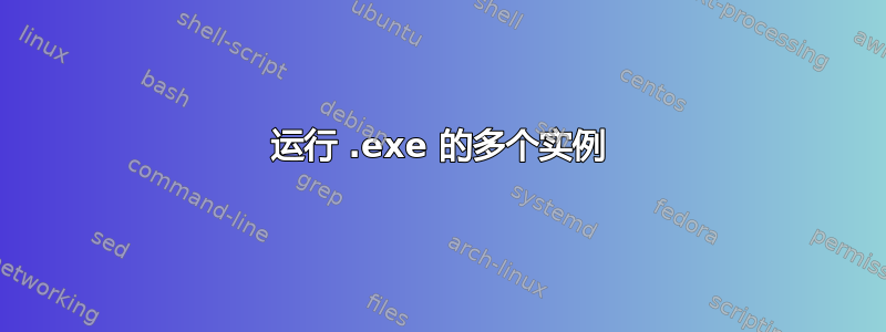 运行 .exe 的多个实例