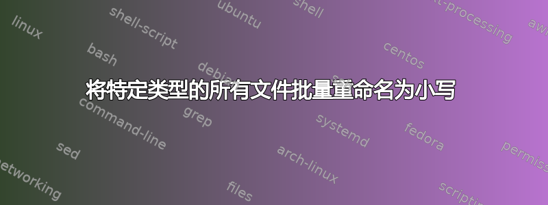 将特定类型的所有文件批量重命名为小写