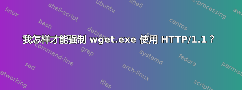 我怎样才能强制 wget.exe 使用 HTTP/1.1？