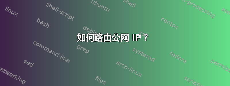 如何路由公网 IP？