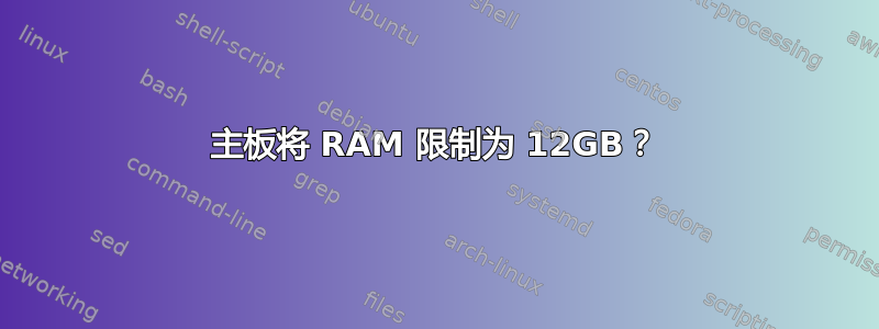 主板将 RAM 限制为 12GB？