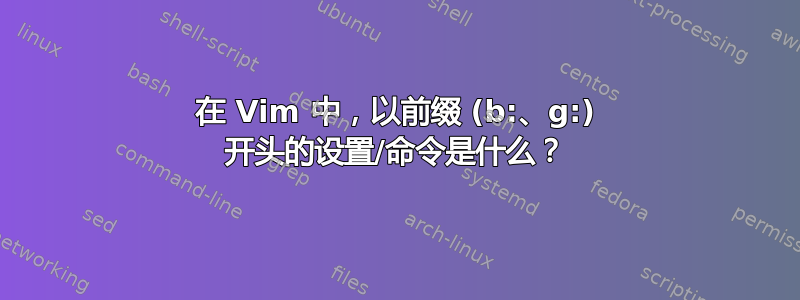 在 Vim 中，以前缀 (b:、g:) 开头的设置/命令是什么？