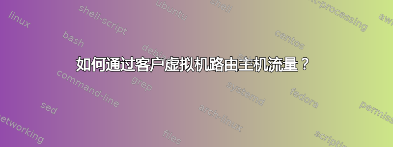 如何通过客户虚拟机路由主机流量？