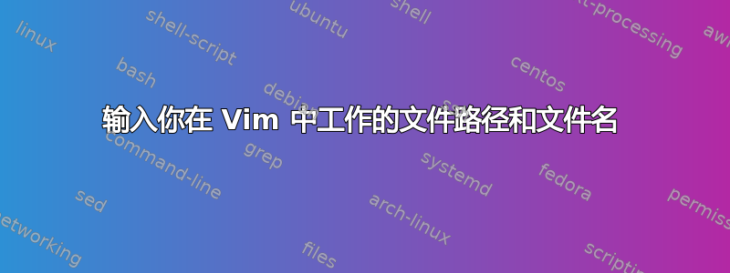 输入你在 Vim 中工作的文件路径和文件名