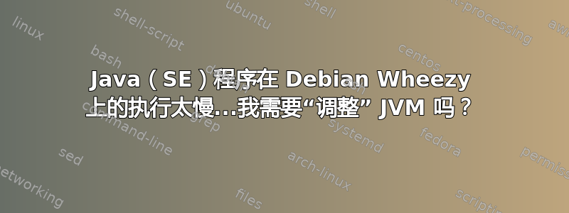 Java（SE）程序在 Debian Wheezy 上的执行太慢...我需要“调整” JVM 吗？